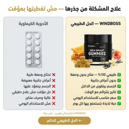 WINDBOSS - Pure Shilajit Gummies