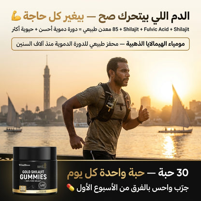 WINDBOSS - Pure Shilajit Gummies