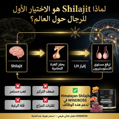 WINDBOSS - Pure Shilajit Gummies